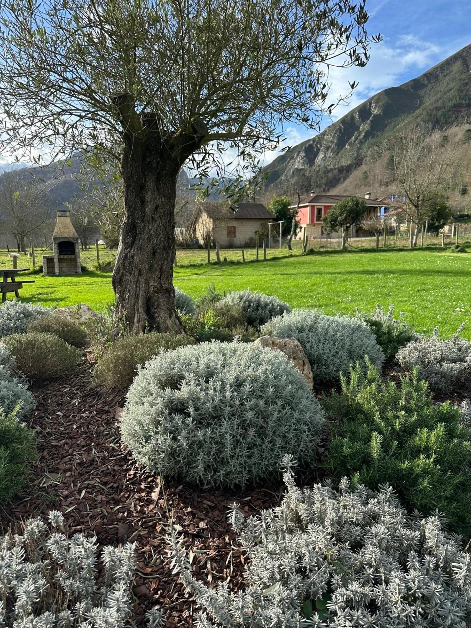 Casa Rural Nasares San Juan de Parres Eksteriør bilde