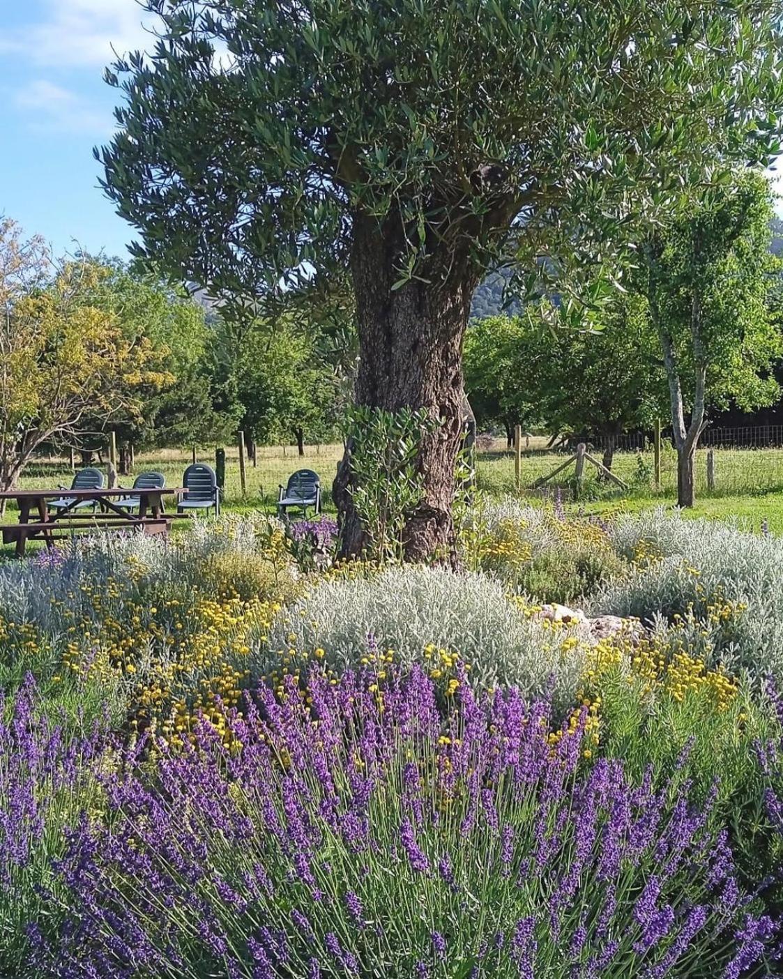 Casa Rural Nasares San Juan de Parres Eksteriør bilde